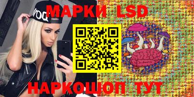 спайс Кандалакша