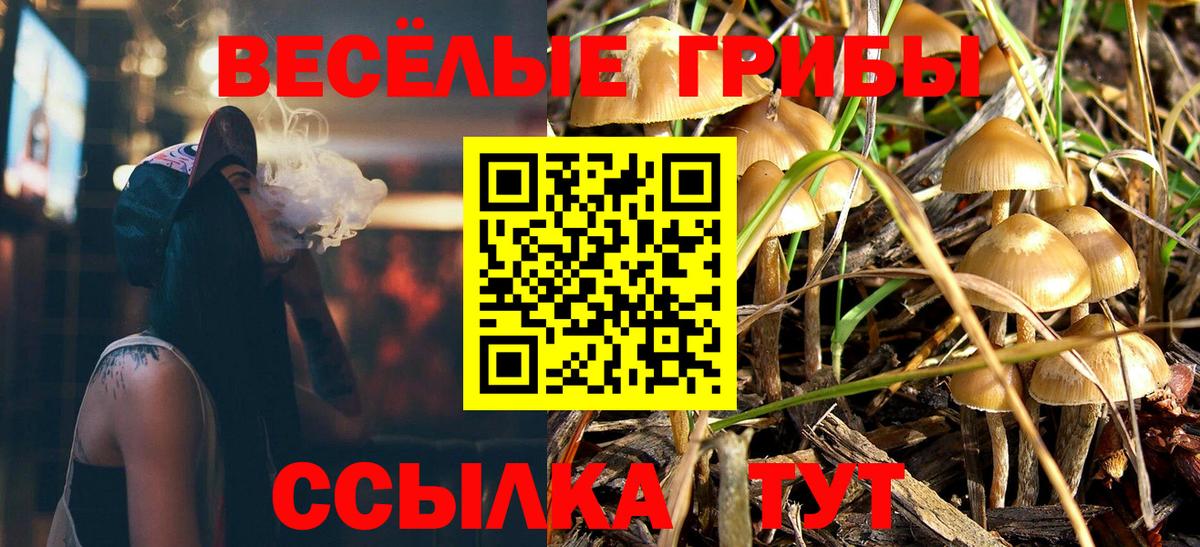 Куйбышев  Галлюциногенные грибы Psilocybe  Вход с VPN 