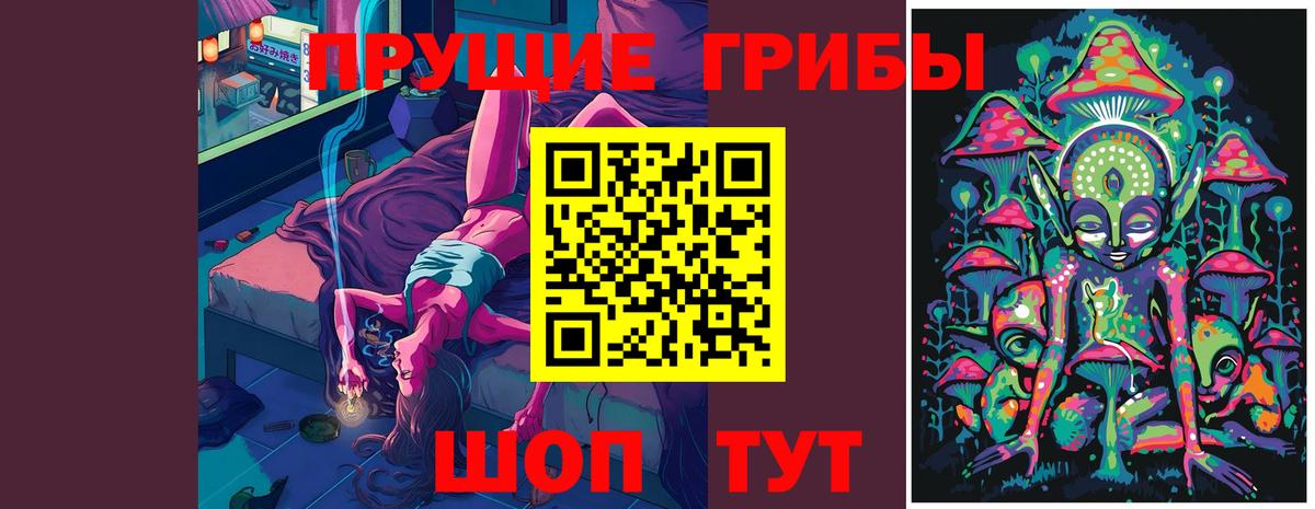 Псилоцибиновые грибы прущие грибы Куйбышев